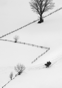 Salon.Photo Silver Medal